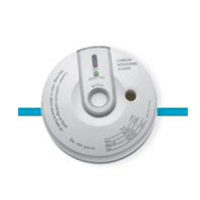 wireless CO detector